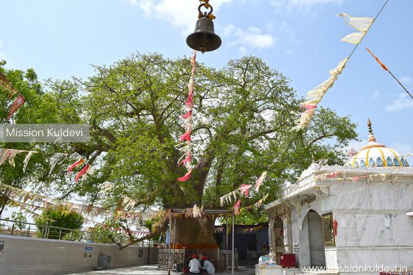 Kalptaru Bilara